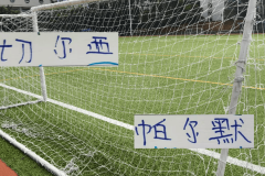 没见过海港奥斯卡在切尔西踢球 但我见过23岁的帕尔默在蓝军进球