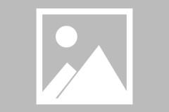 曼联赚翻了！3500 万捡漏法国世界级中场，沙特砸钱都抢不走