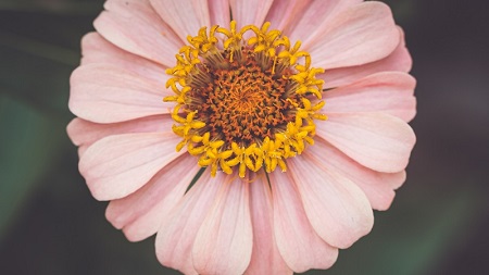 没有曼联和切尔西的欧联杯和欧会杯索然无味丨记者观察